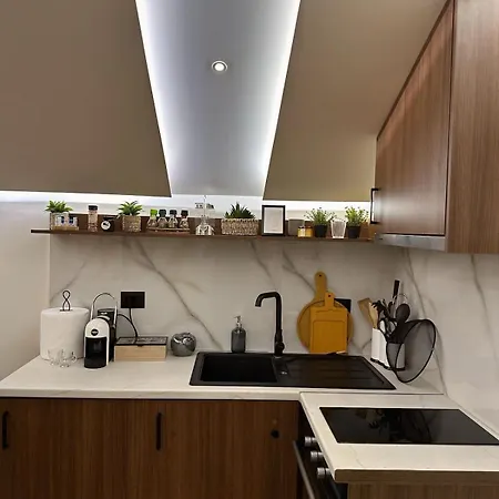 Center Blloku Modern Loft 02 公寓 地拉那