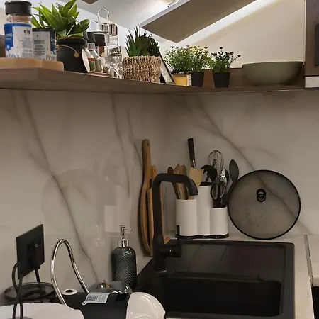 Center Blloku Modern Loft 02 公寓 地拉那